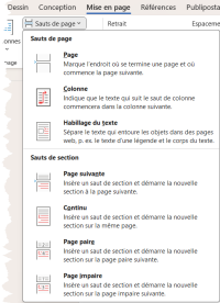 Menu d’insertion d’un saut de section